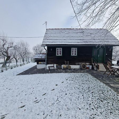 Holiday Home Hizica V Plavem Trnacu Gornja Stubica 外观 照片