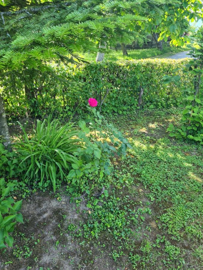 Holiday Home Hizica V Plavem Trnacu Gornja Stubica 外观 照片