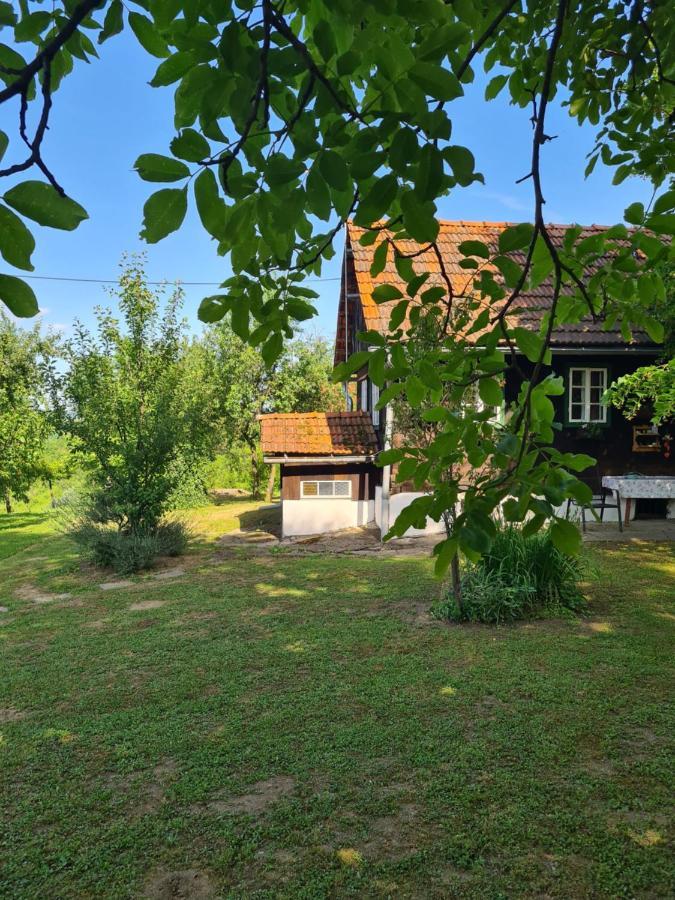 Holiday Home Hizica V Plavem Trnacu Gornja Stubica 外观 照片