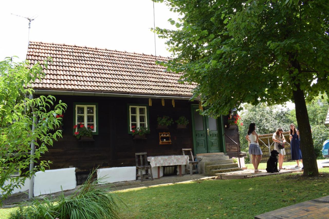 Holiday Home Hizica V Plavem Trnacu Gornja Stubica 外观 照片