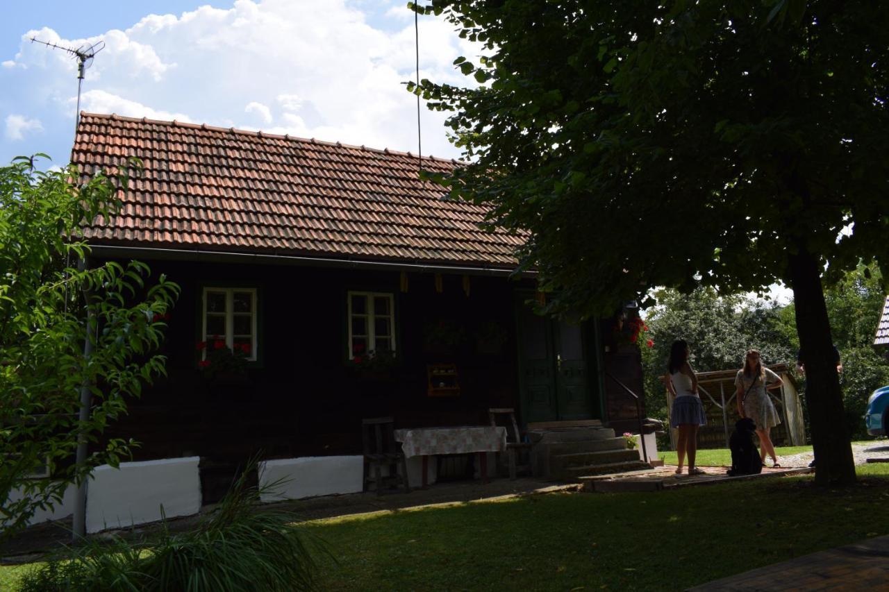 Holiday Home Hizica V Plavem Trnacu Gornja Stubica 外观 照片