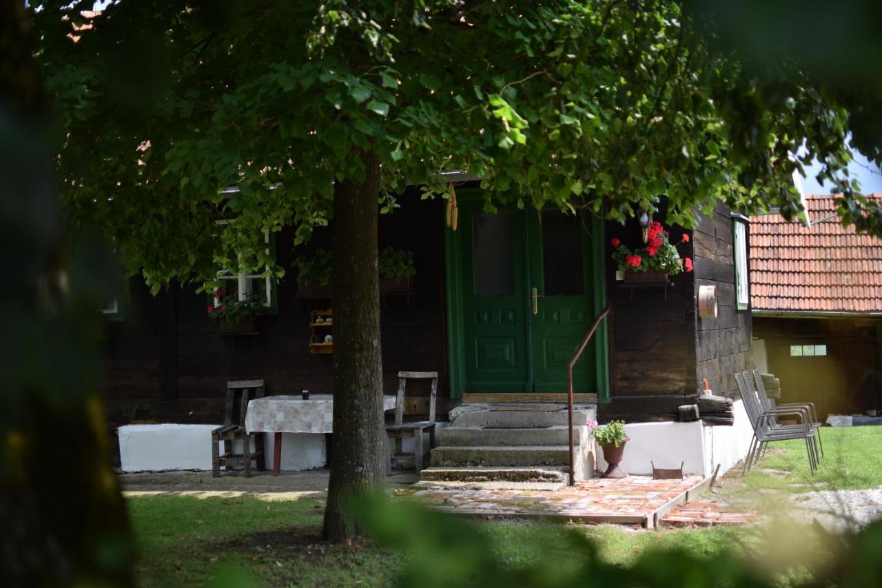 Holiday Home Hizica V Plavem Trnacu Gornja Stubica 外观 照片