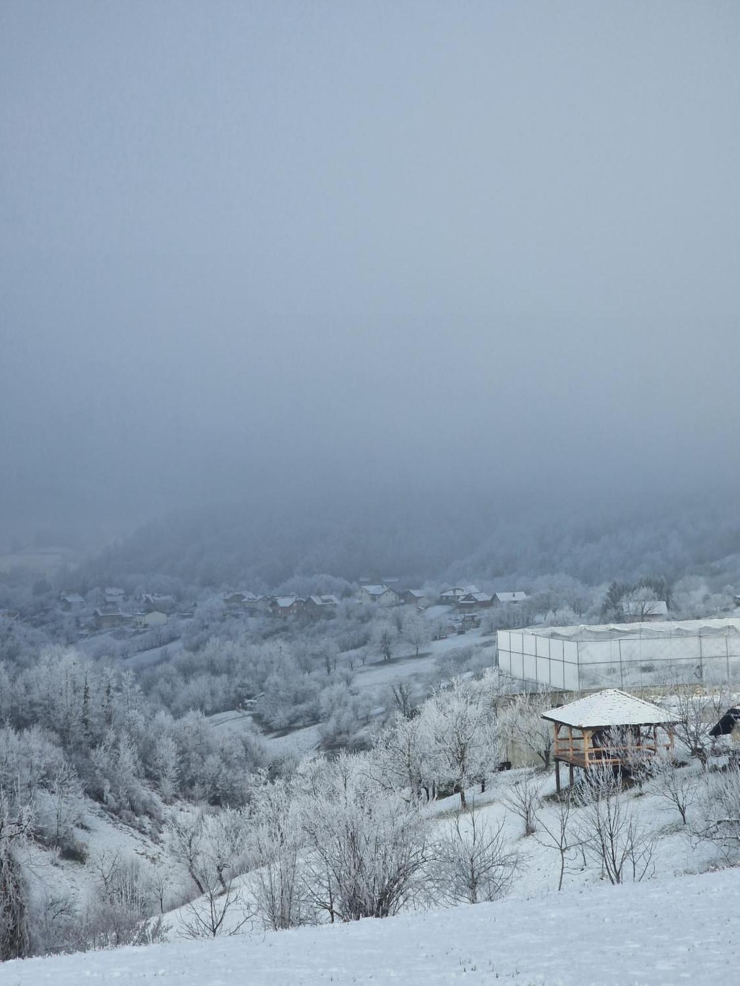 Holiday Home Hizica V Plavem Trnacu Gornja Stubica 外观 照片
