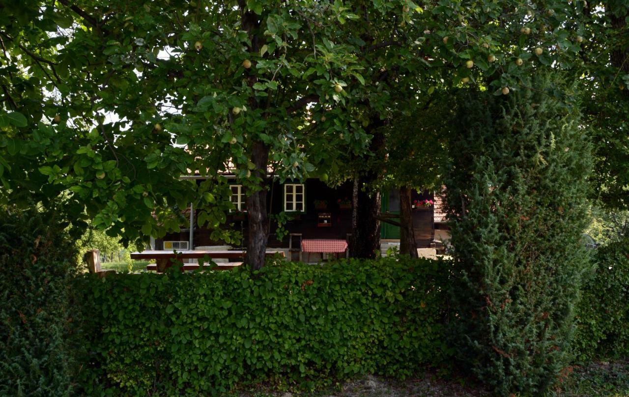 Holiday Home Hizica V Plavem Trnacu Gornja Stubica 外观 照片