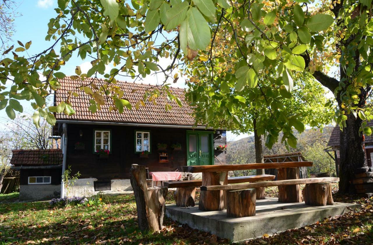 Holiday Home Hizica V Plavem Trnacu Gornja Stubica 外观 照片