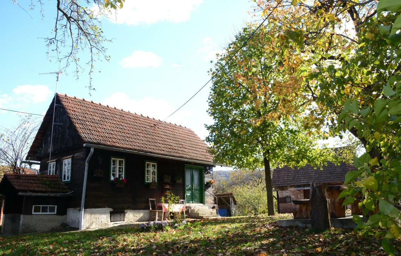 Holiday Home Hizica V Plavem Trnacu Gornja Stubica 外观 照片