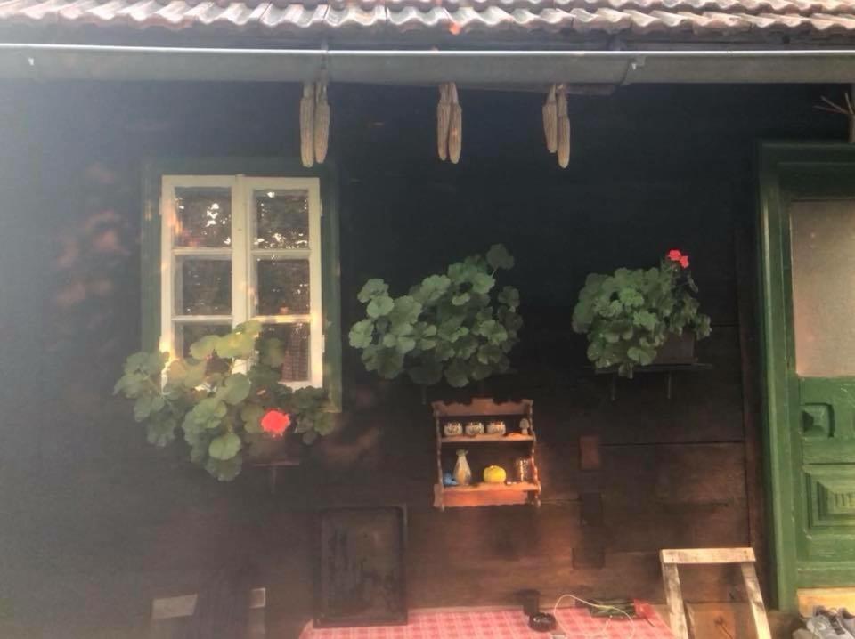 Holiday Home Hizica V Plavem Trnacu Gornja Stubica 外观 照片